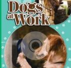 Fast Forward Emerald: Dogs at Work (Non-fiction) Level 25
