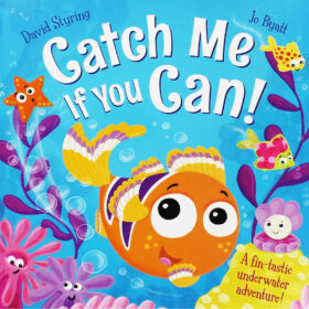 Catch Me If You Can! - Picture Book by David Styring (Paperback) - 10 for £10 Children's Books