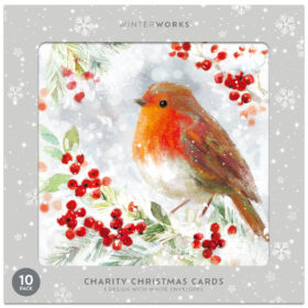 Charity Robin Christmas Cards: Pack of 10